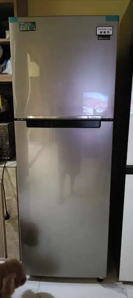 Kulkas 2 Pintu Samsung Inverter