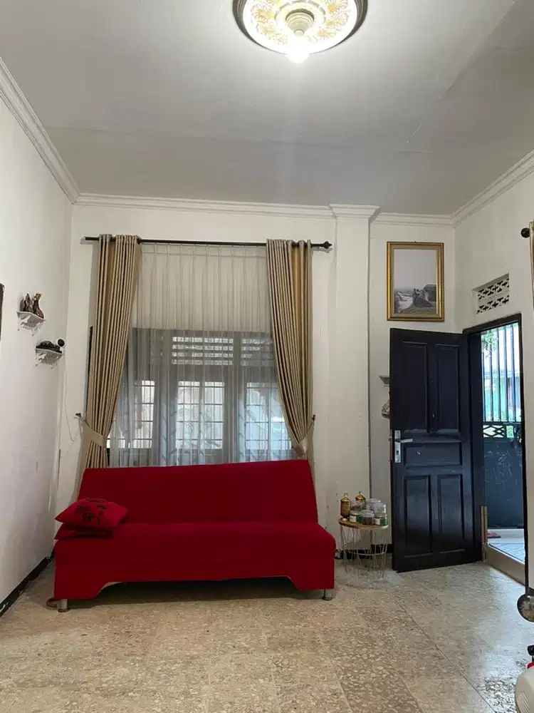 DIJUAL MURAH KEMBANG KUNING TERMURAH PUSAT KOTA