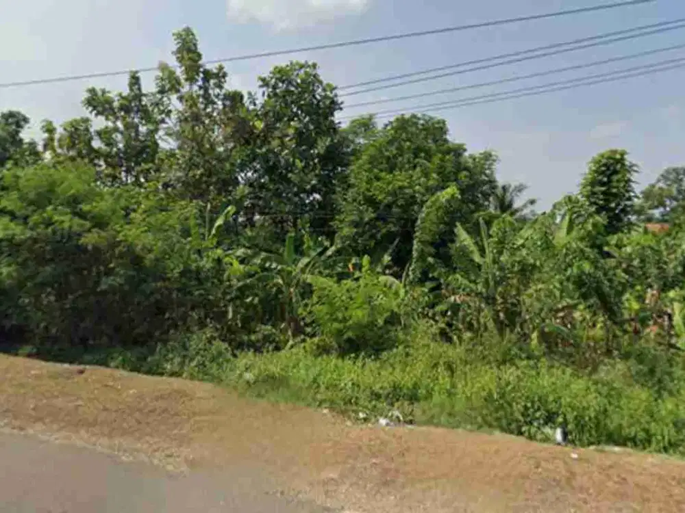 Jual Tanah Industri Di Cisaga cibogo Subang, Jawa Barat 500 meter dari Pintu Tol