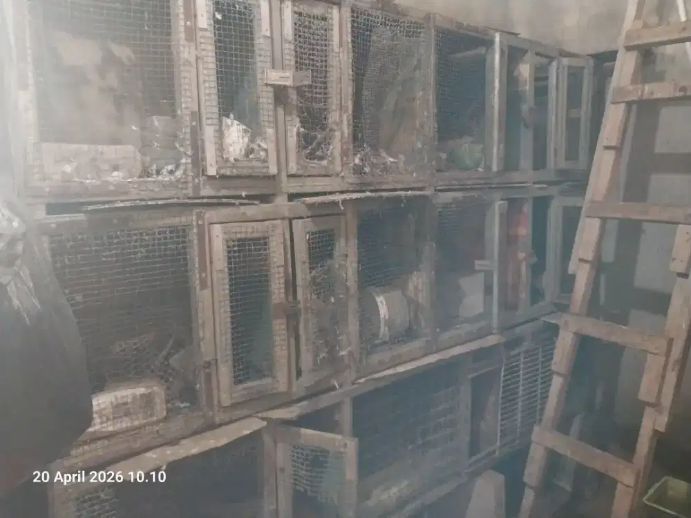 Dijual kandang ukuran besar dari baja ringan untuk burung ayam kucing