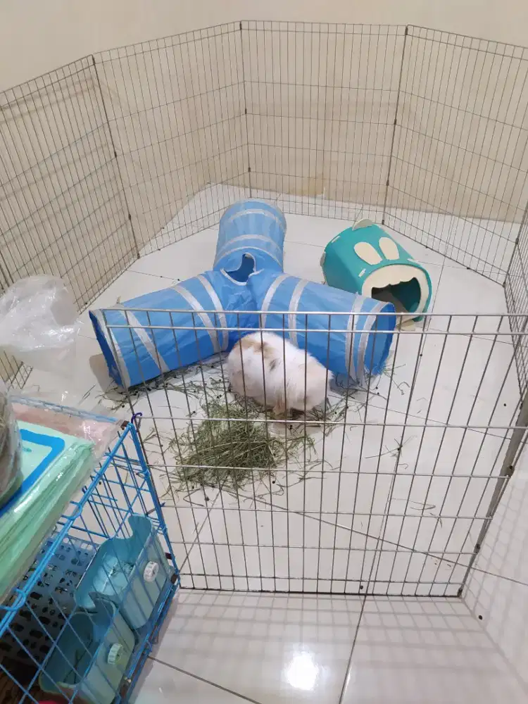 Jual Pagar Kandang Playpen