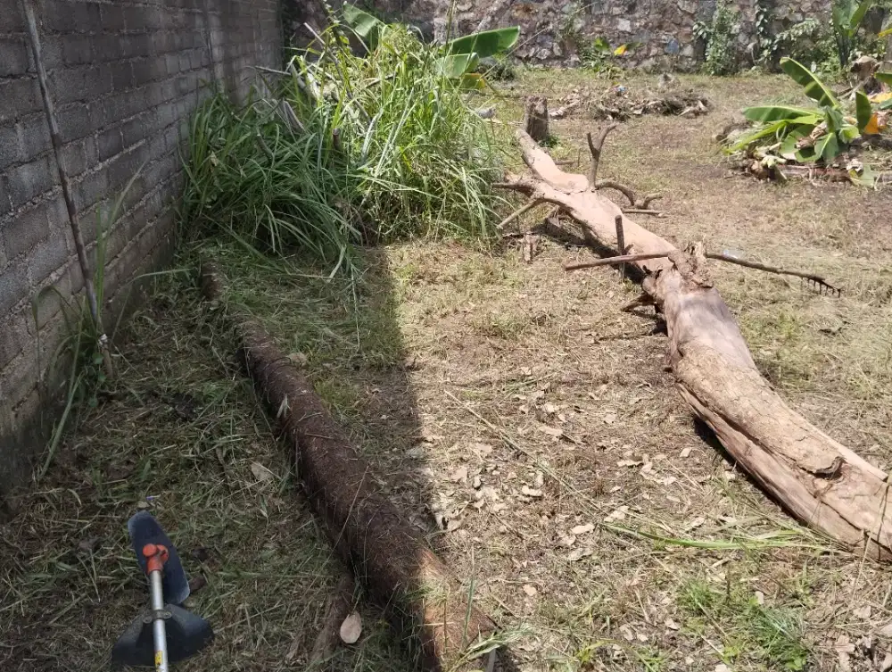 Kayu bakar untuk api unggun