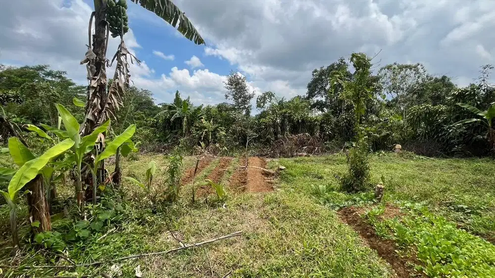 DIJUAL CEPAT TANAH LUAS 1128M2