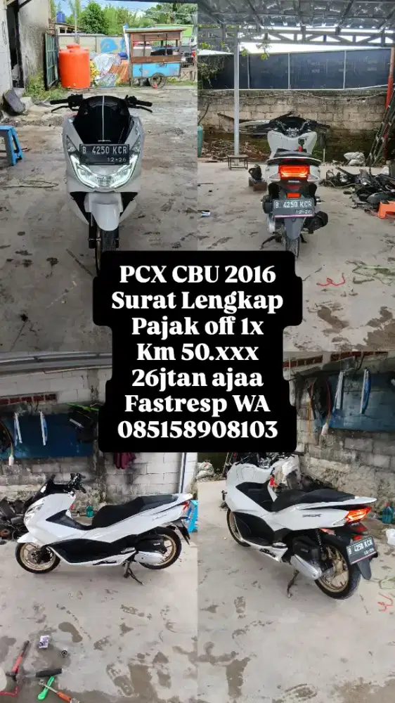 PCX CBU 150 PUTIH