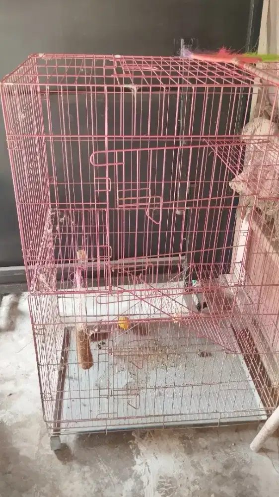 Kandang ukuran jumbo