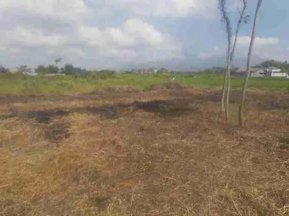 TANAH SIAP BANGUN DI TASIKMADU LOWOKWARU KOTAMADYA MALANG!