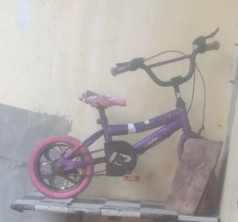 Sepeda anak 5 tahun kebawah