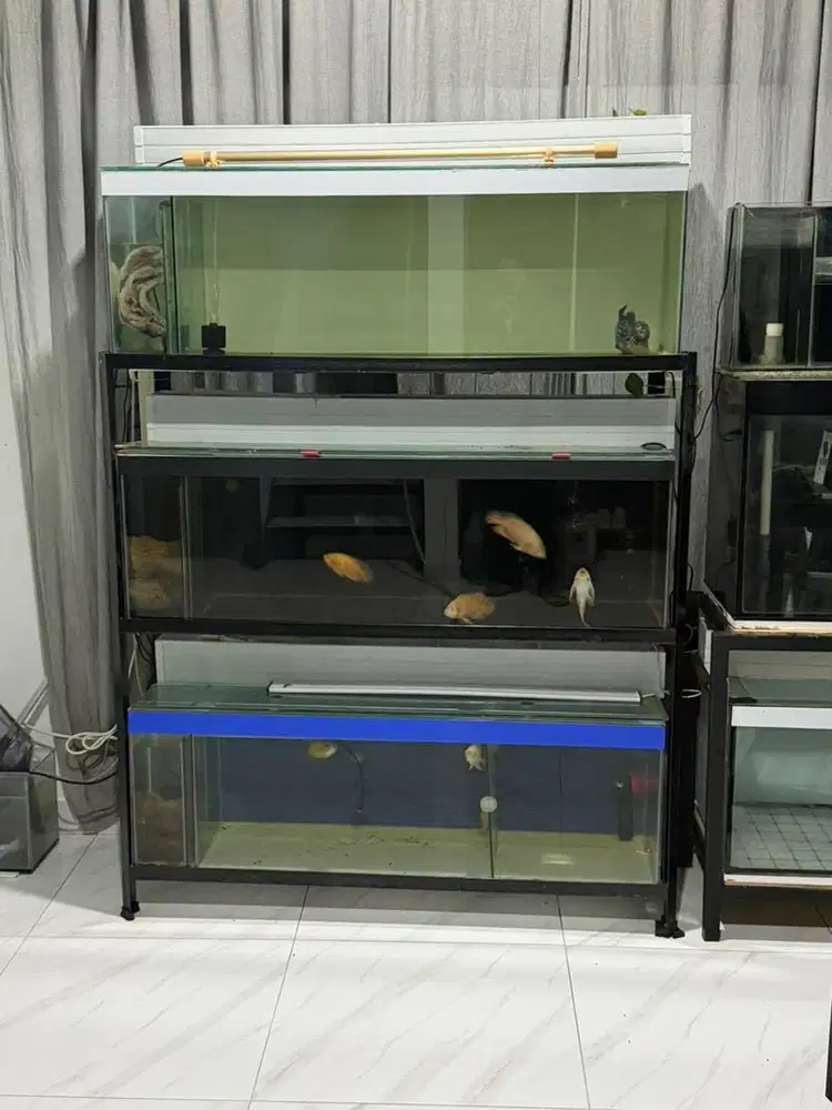 Dijual nego deal sampai jadi