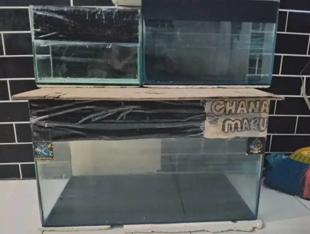 Aquarium ikan 3 picis