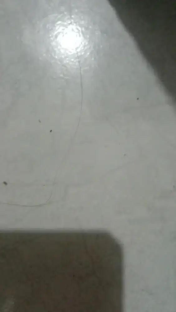 Lowongan kerja untuk pria