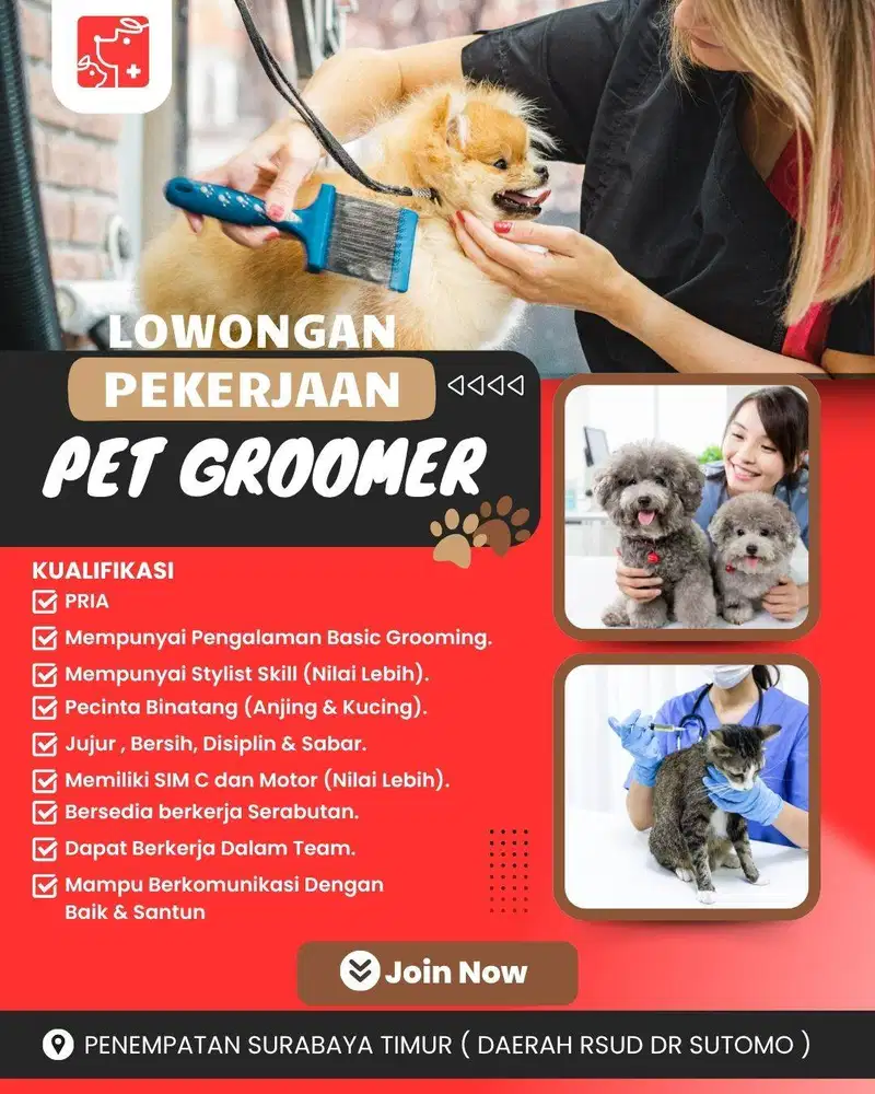 PET GROOMER @ SURABAYA TIMUR
