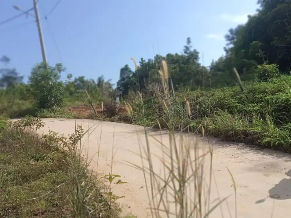 DIJUAL TANAH 8Ha LAMARU