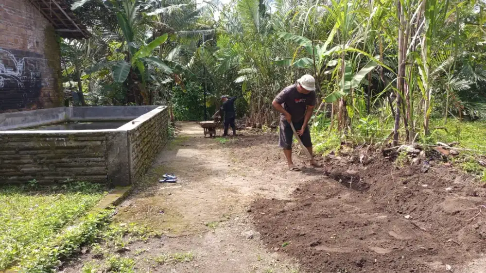 Murah Meriah Pekarangan Dikawasan sentra Salak pondok Turi Sleman
