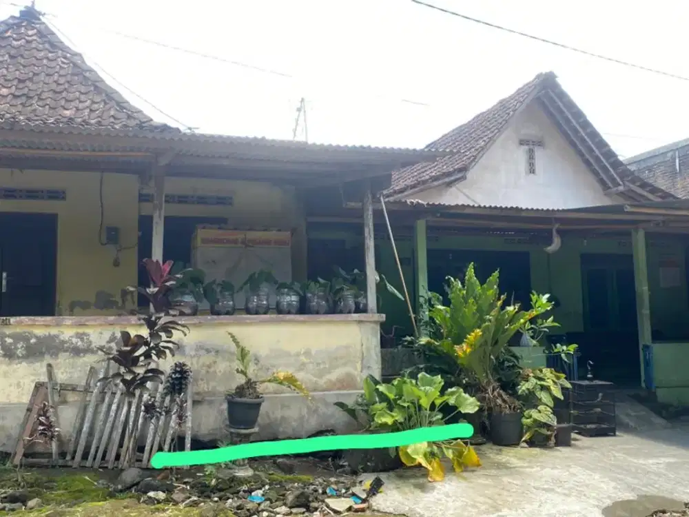 Tanah Dijual Murah Area Jalan Damai dan Tepi Jalan Cocok untuk Ruko