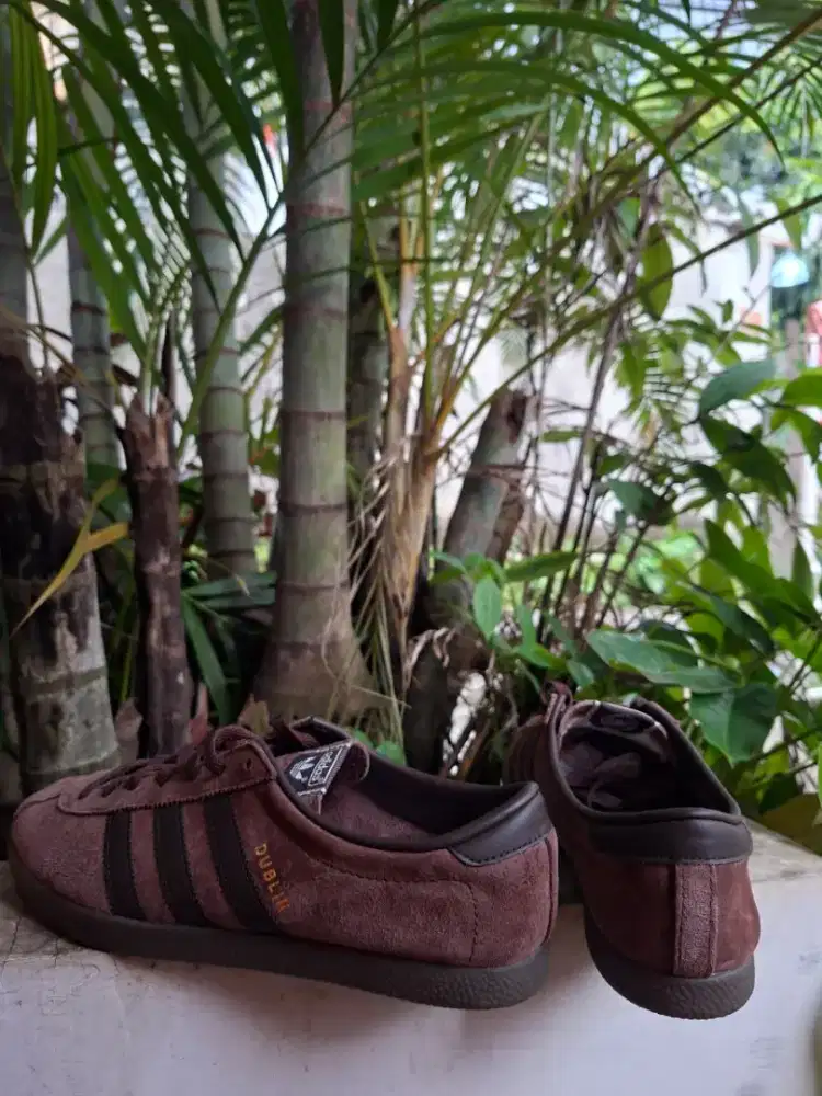 Adidas dublin (Brown)
