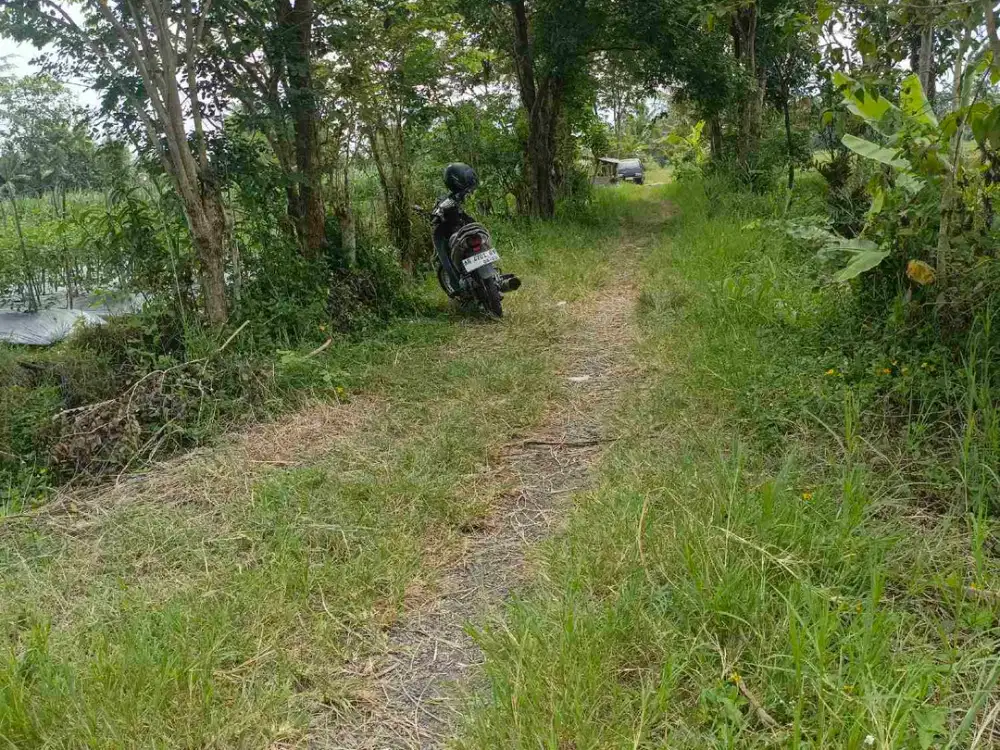 tanah sleman ngaglik donoharjo