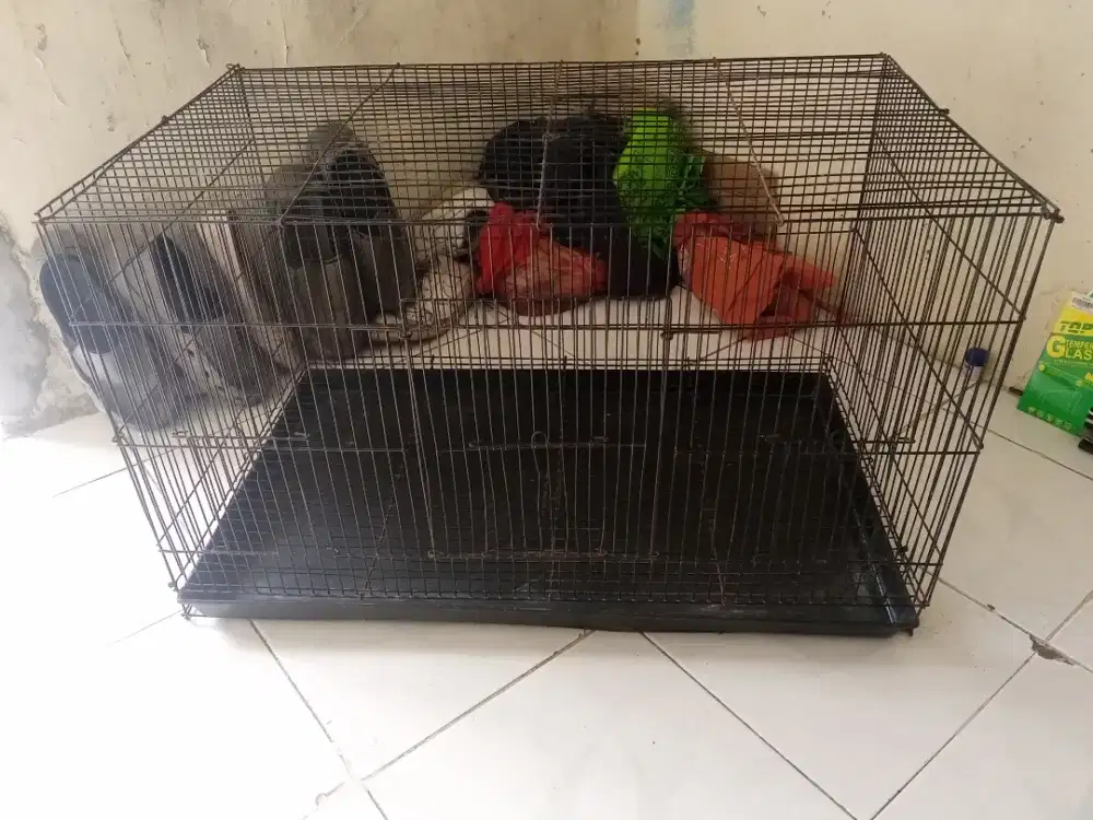 Kandang besi kotak jumbo