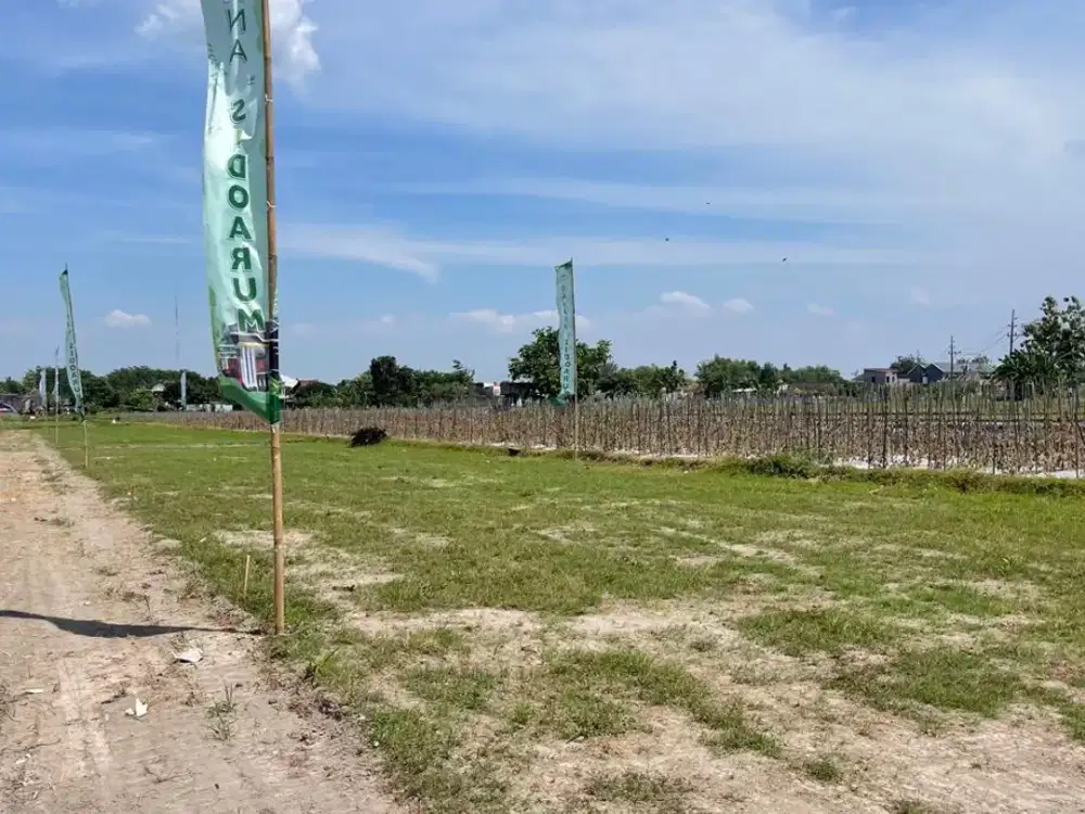 Tanah Jogja Sleman Dekat Kampus UMY Bisa Tempo