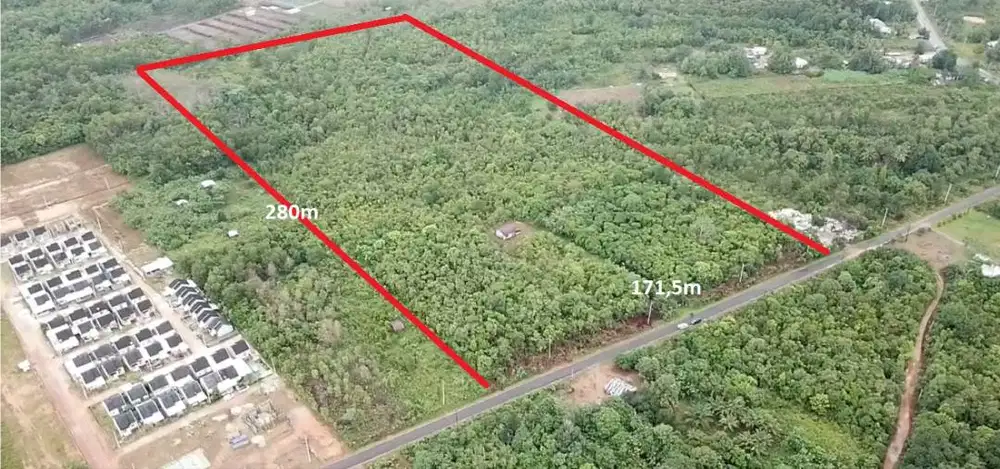 Ex Perkebunan Cocok untuk Perumahan / Perkebunan / Gudang