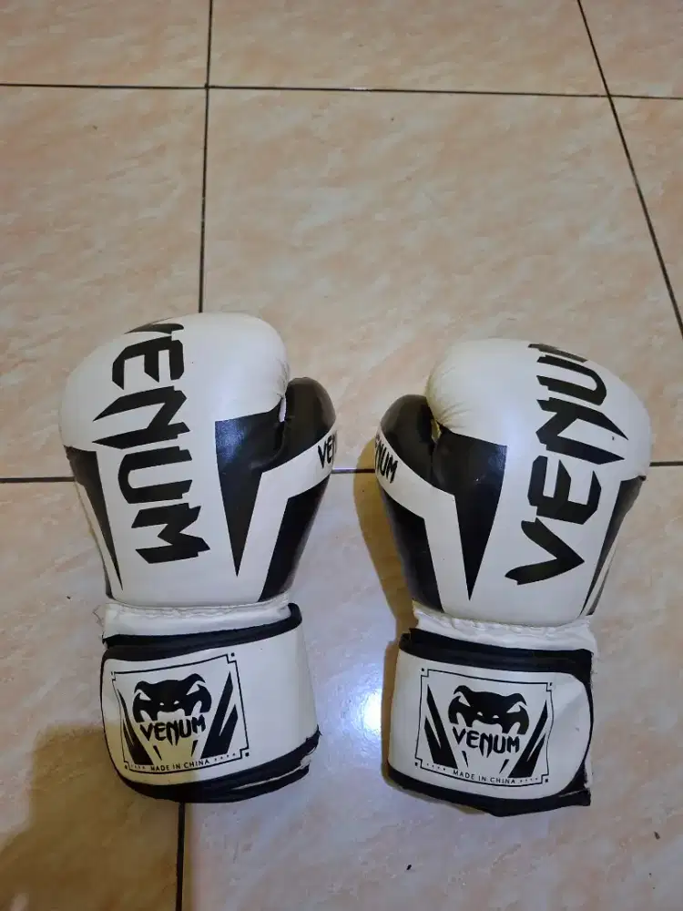 Sarung tinju venum