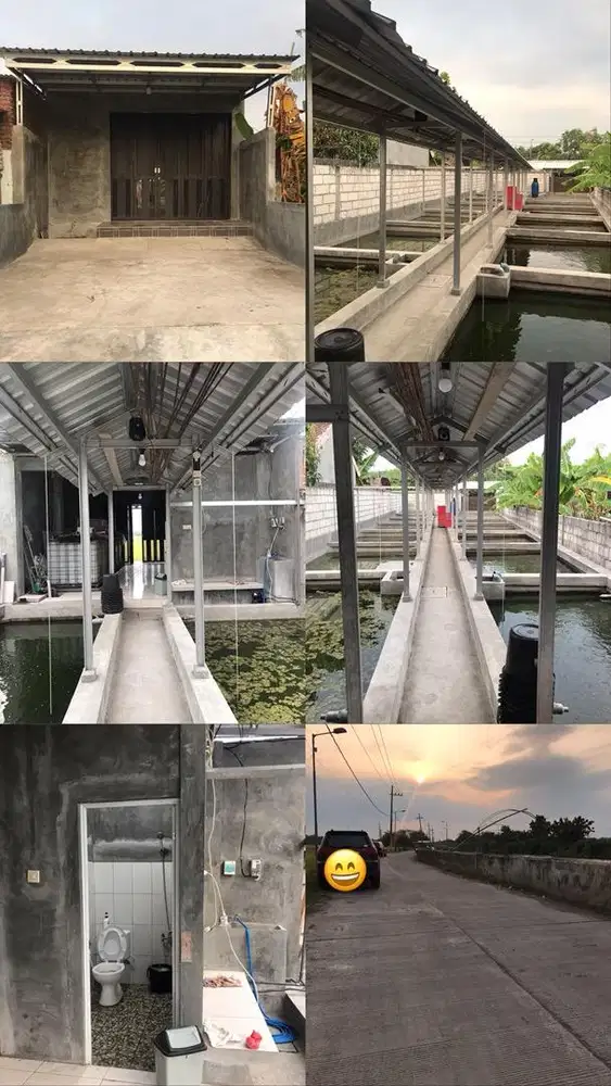 Dijual Cepat | Kolam Perikanan 14 Petak | Langsung Usaha, Akses Lebar