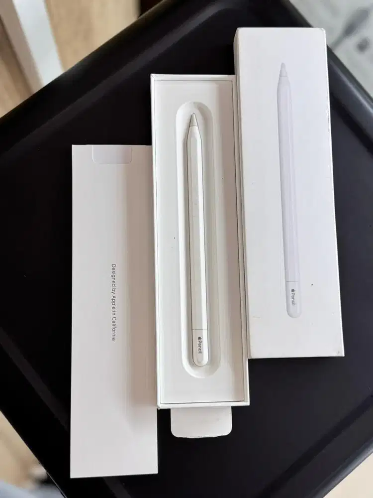 Apple Pencil (USB-C) second untuk ipad gen 11