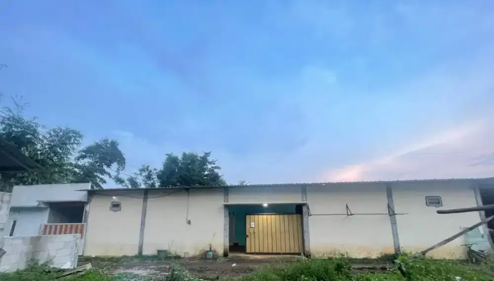 Kost kost an 7 kamar + 1 rumah