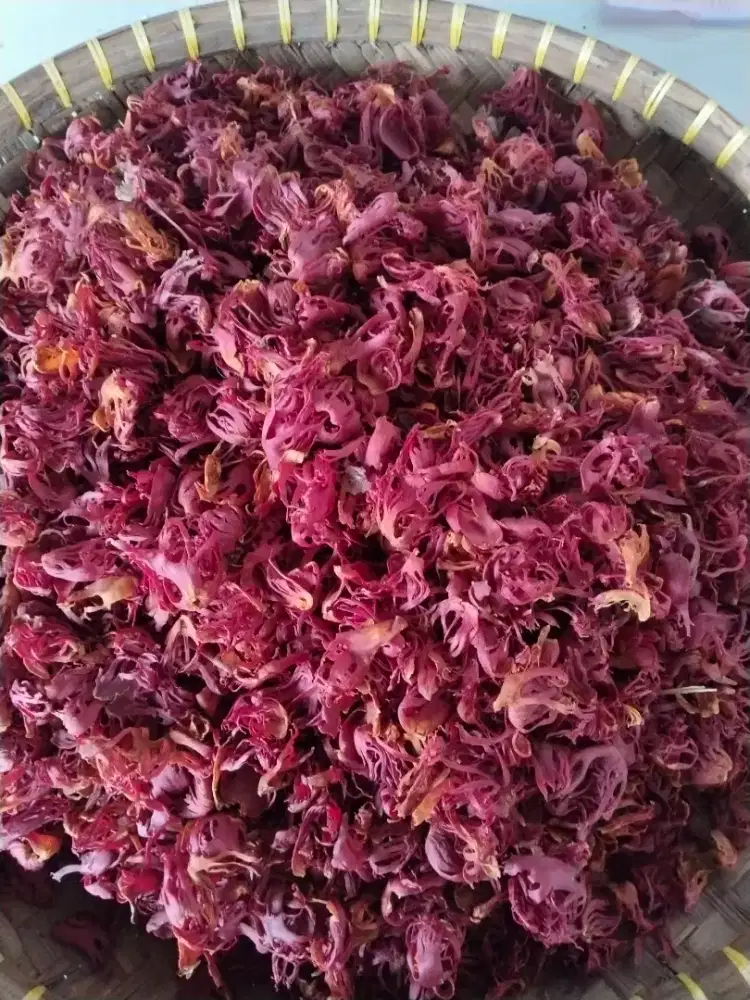 cari kembang pala/fuli