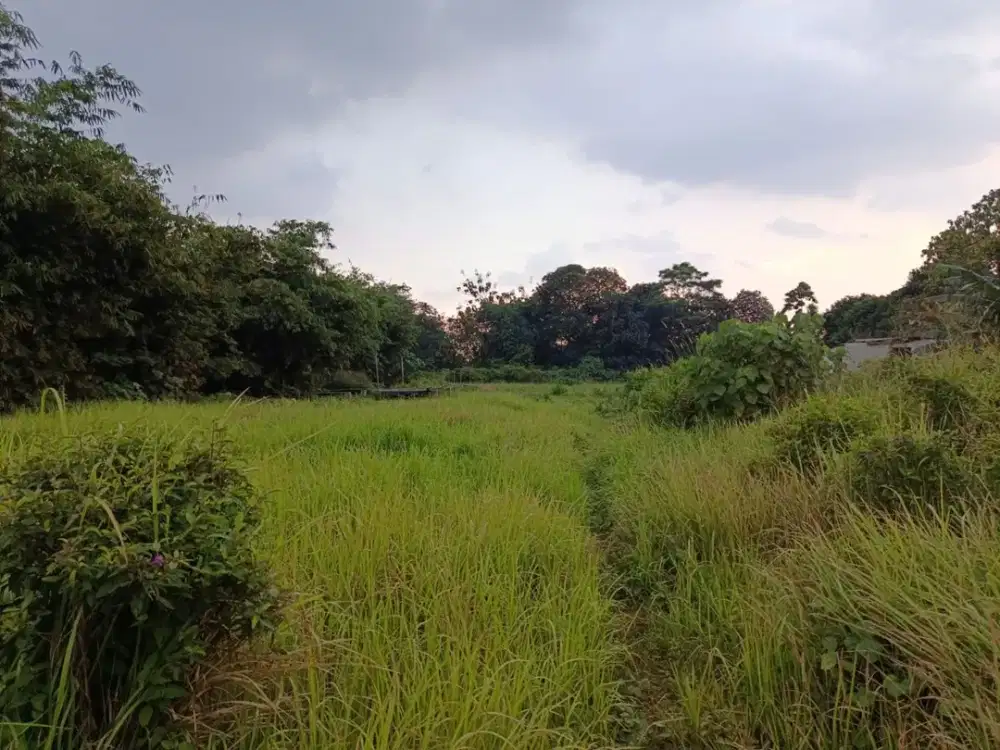 Dijual Tanah Luas di Bojong Gede. SHM. Cocok untuk Investasi