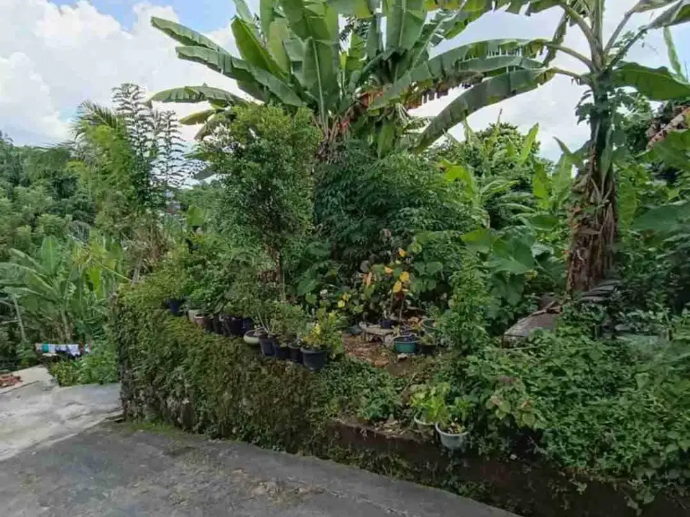 tanah lokasi di perumahan permata hijau denbantas (cc)