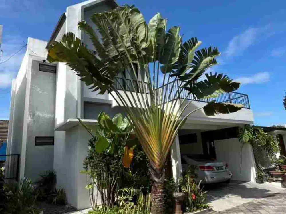 Rumah Bagus + Private pool dan Joglo Estetik Area Maguwoharjo Dekat Jogjabay dan Kampus UNRIYO