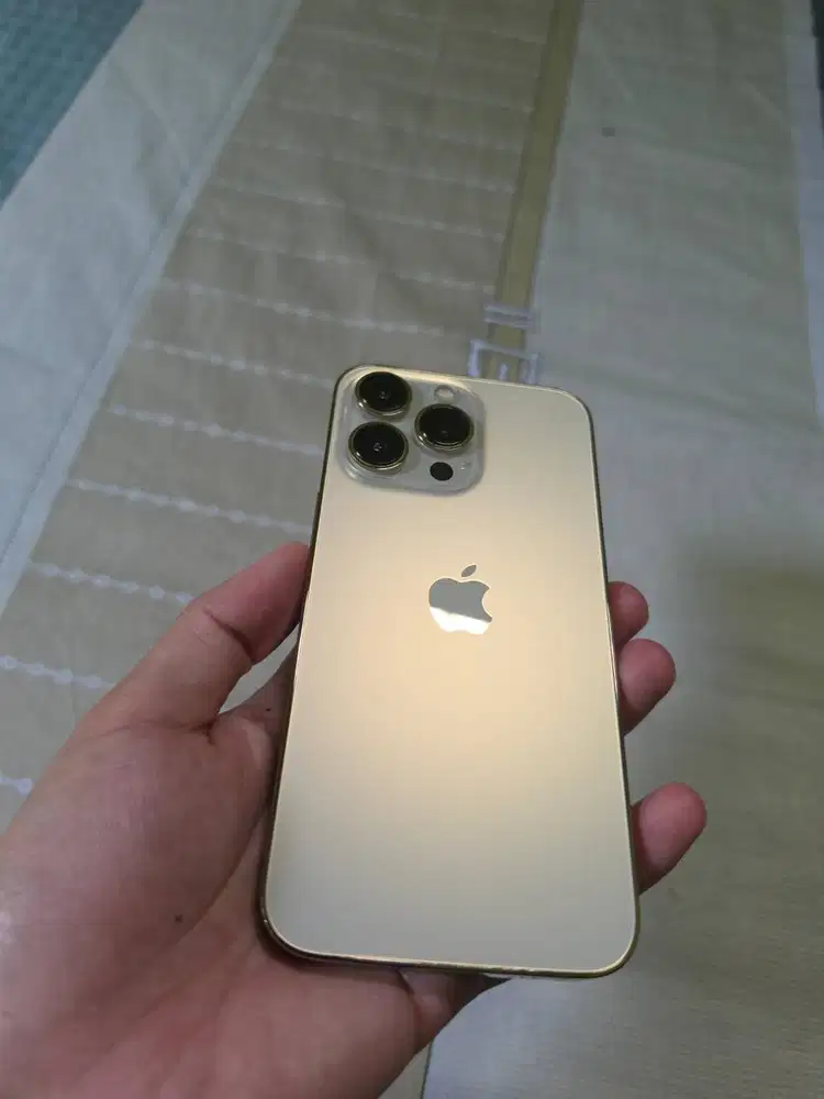 Iphone 13 Pro Gold 6/256GB (Pemakaian Pribadi)