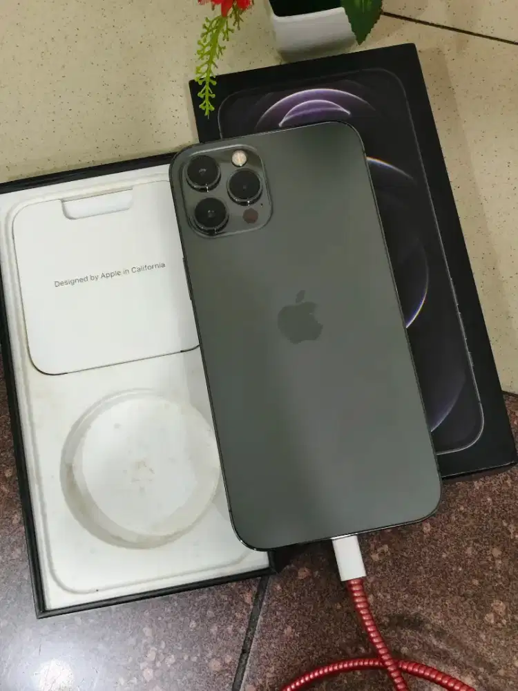 Iphone 12 pro max 256gb resmi beacukai