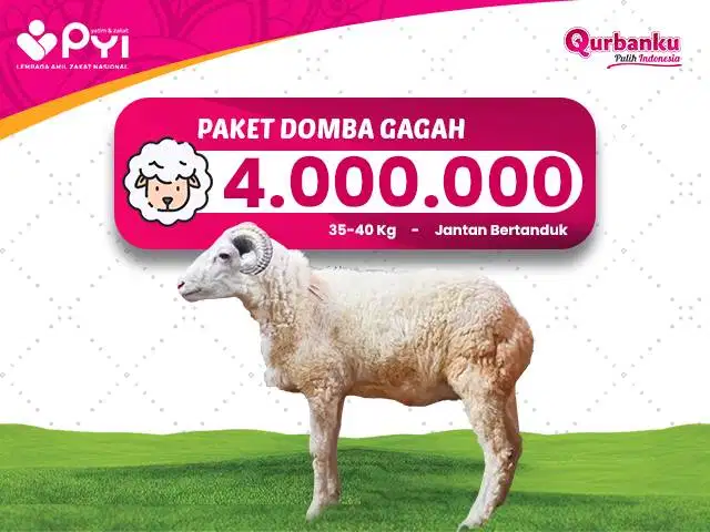 Qurban 2026/1447 H - Qurban Domba Paket Gagah Kualitas premium