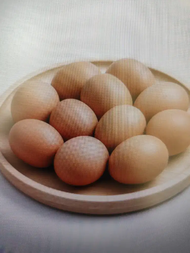 Sortir dan admin - usaha jual telur