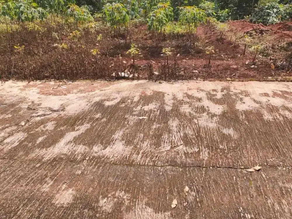 Siap Bangun Tanah Cocok Untuk Usaha Kos-Kosan di UNNES