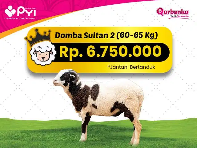 Qurban 2026/1447 H - Qurban Domba Jantan Paket Sultan 2 Harga ekonomis