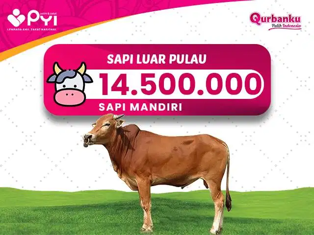 Qurban 2026/1447 H - Qurban Sapi Untuk Luar Pulau Jawa