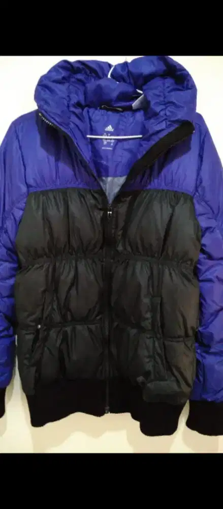 Jacket Adidas Original