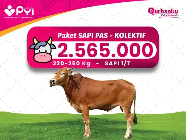 Qurban 2026/1447 H - Qurban Sapi Paket Pass Untuk Patungan 1-7 orang
