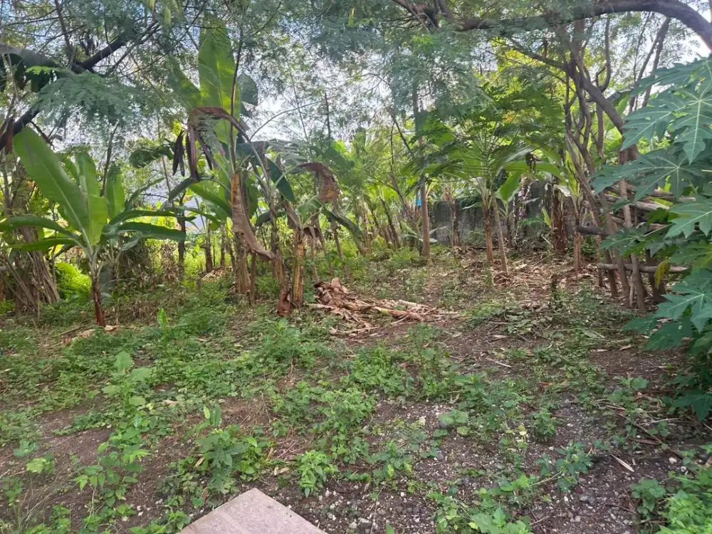 TANAH DISEWAKAN TUKAD BADUNG