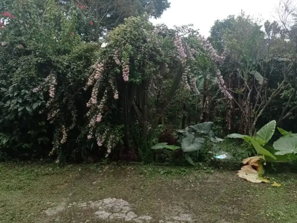 DIJUAL VILLA 2 LANTAI DI LEMBANG BANDUNG