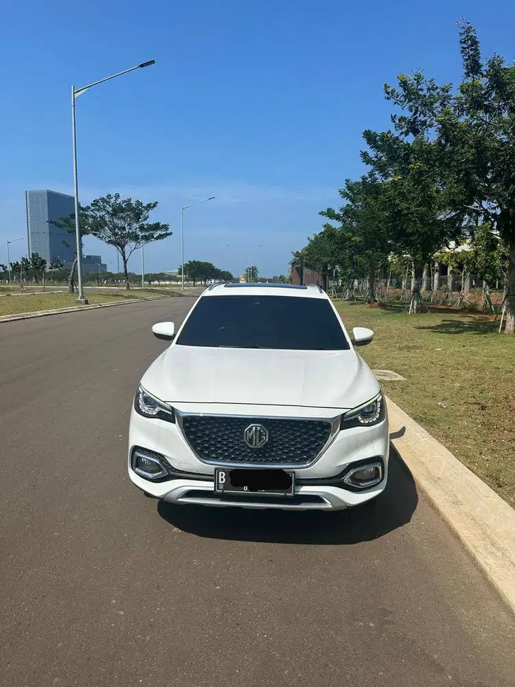 MG HS  (Service record)