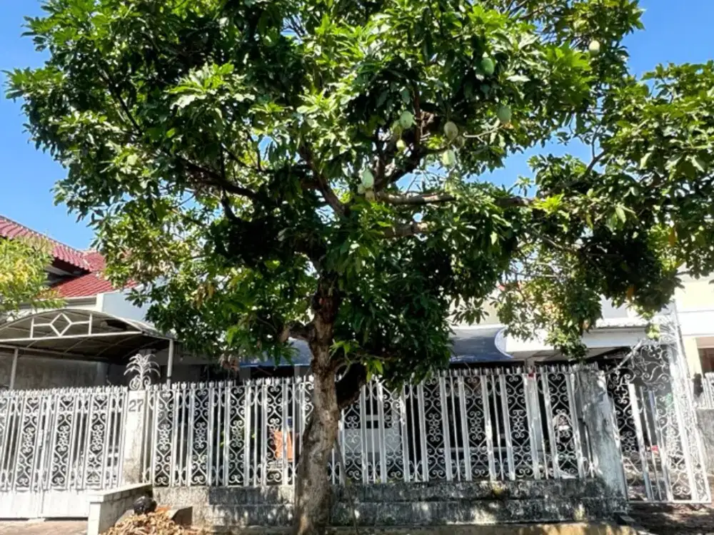 Strategis Area Rumah Darmo Permai Selatan Terawat Harga bisa Nego