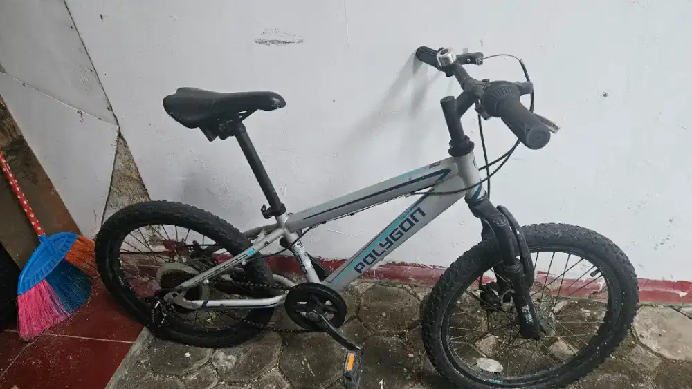 Sepeda Polygon anak 20