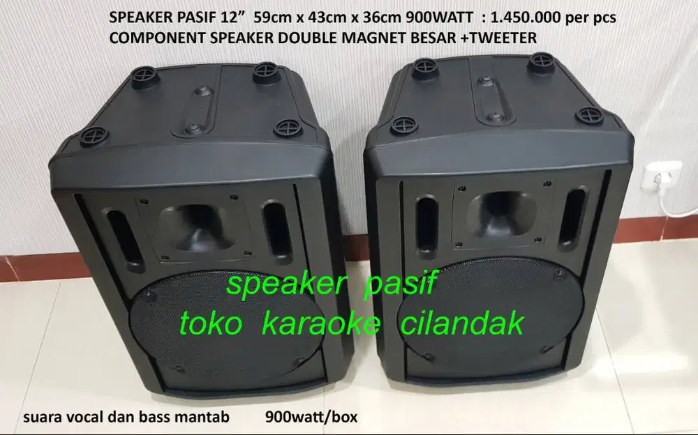 SPEAKER PASIF 12