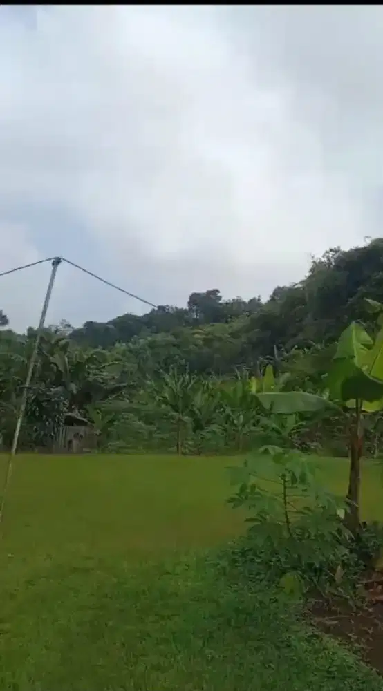 Jual Tanah Lokasi Cidokom Cisarua
Kabupaten Bogor