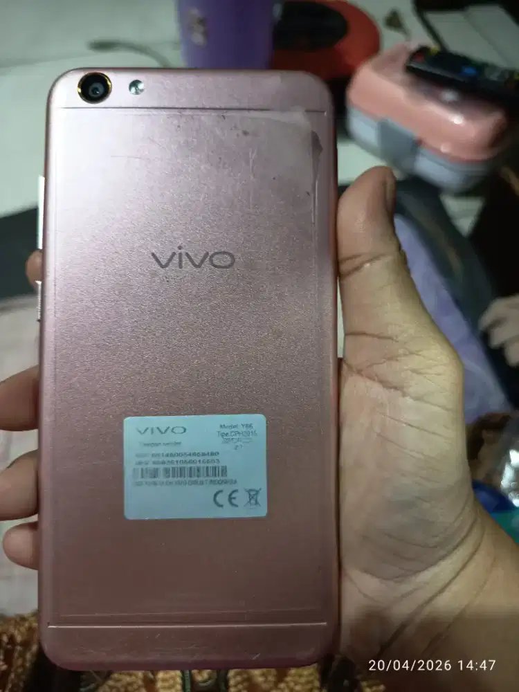 Vivo y66 apa adanya