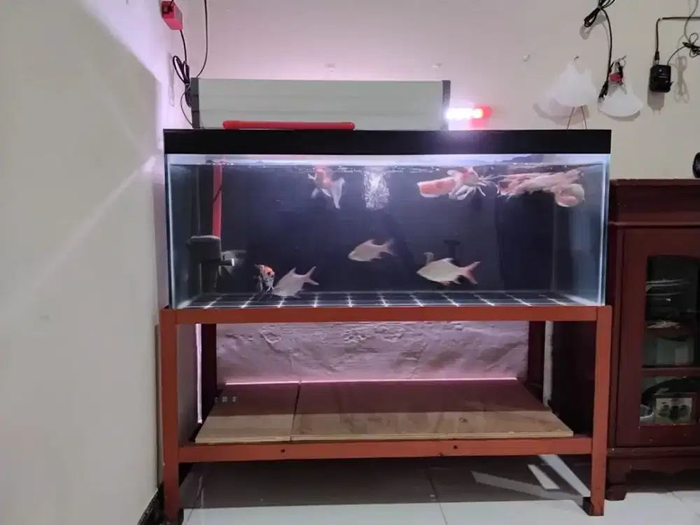 Paket aquarium ikan