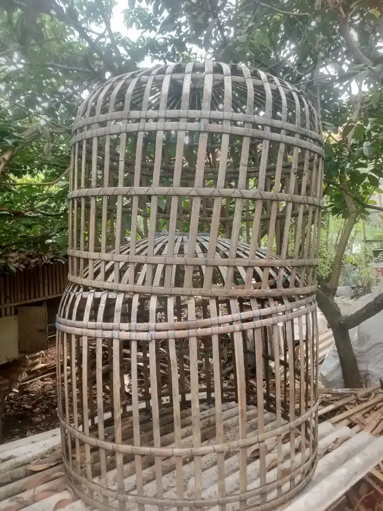 Kurungan ayam bangkok